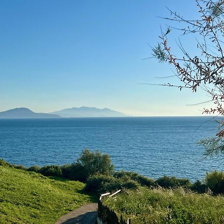 A Un Passo Dal Mare! Daire Piombino Dış mekan fotoğraf